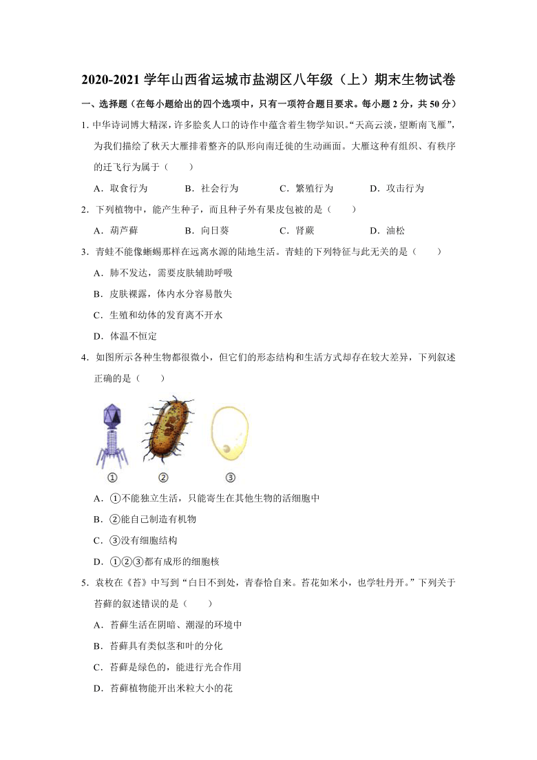 2020-2021学年山西省运城市盐湖区八年级（上）期末生物试卷     （解析版）