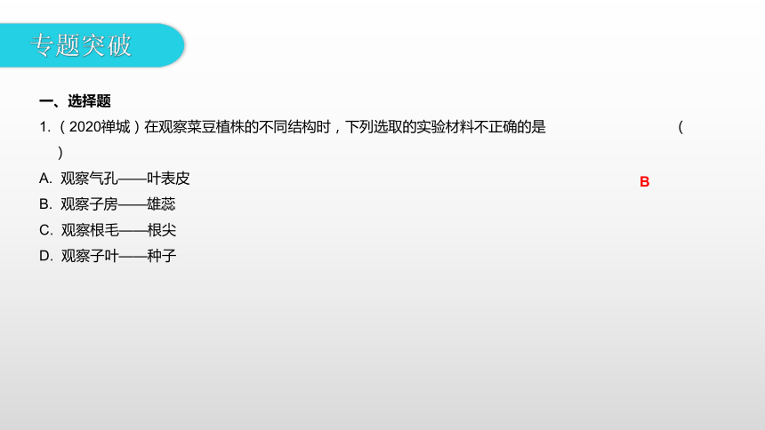 专题一  科学探究 课件 2021年广东中考一轮复习生物(共42张PPT)