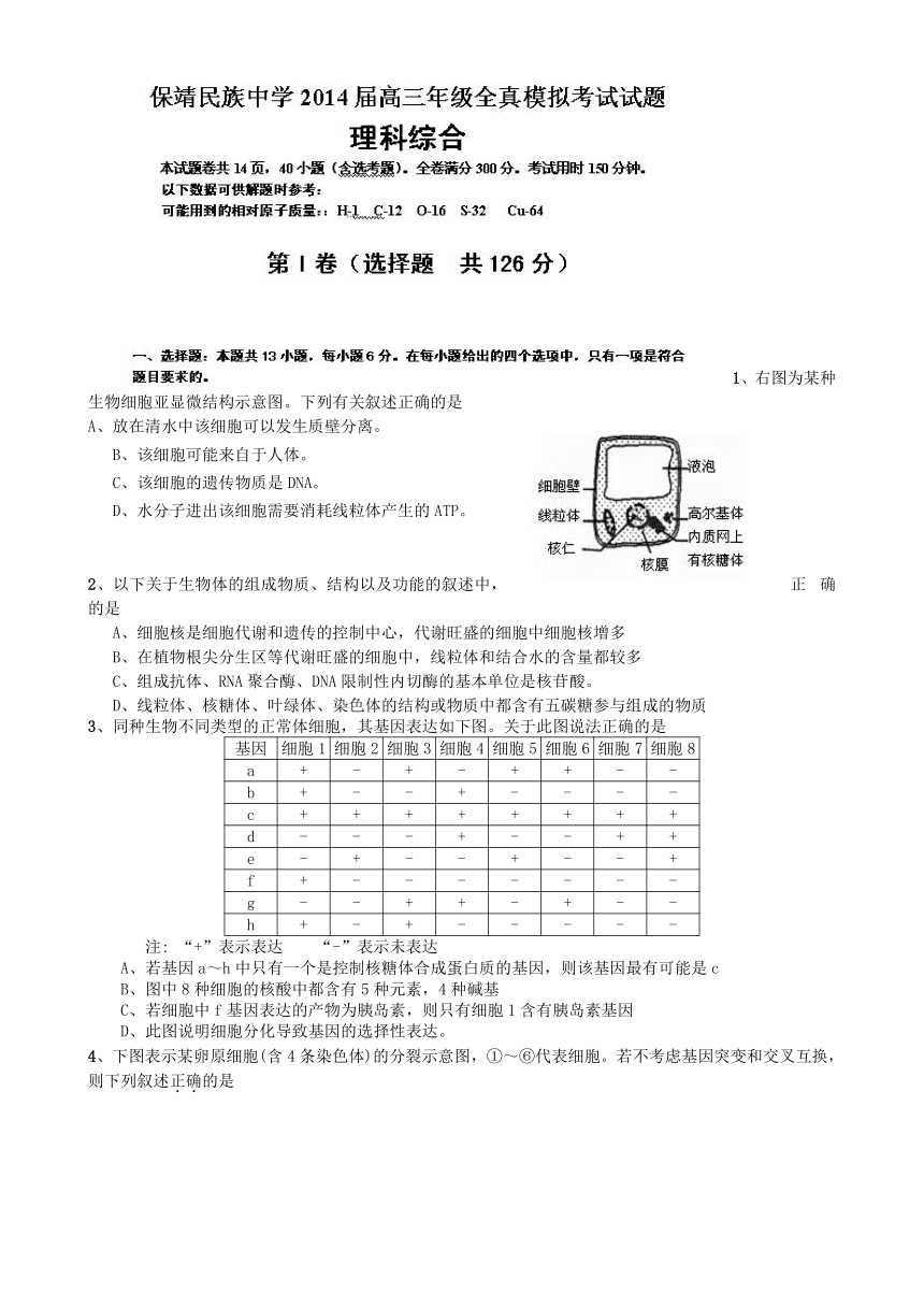 湖南省保靖县民族中学2014届高三全真模拟考试理综试题 Word版含答案