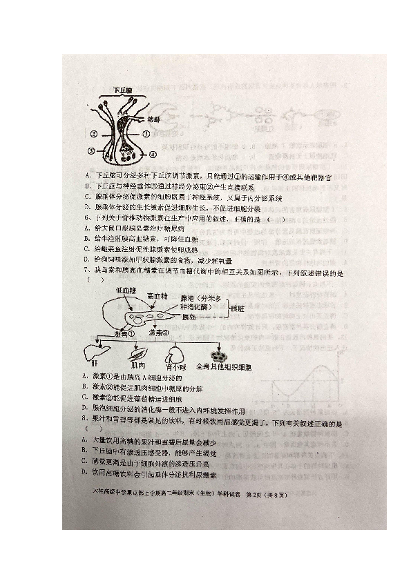 辽宁省盘锦市大洼区高级中学2019-2020学年高二上学期期末考试生物试题 扫描版