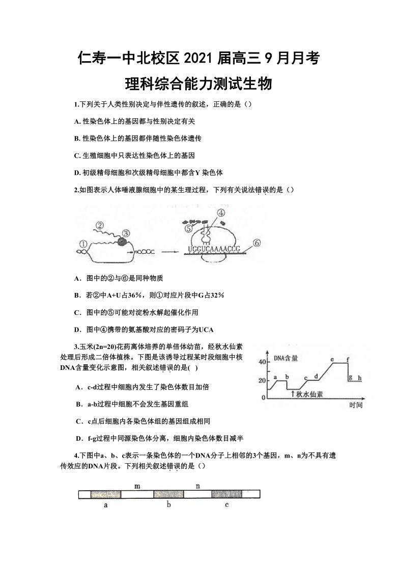 四川省仁寿一中北校区2021届高三9月月考理综-生物试题