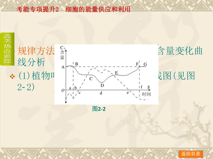 【新课标人教通用，一轮基础查漏补缺】考能专项提升2 细胞的能量供应和利用 （58ppt）