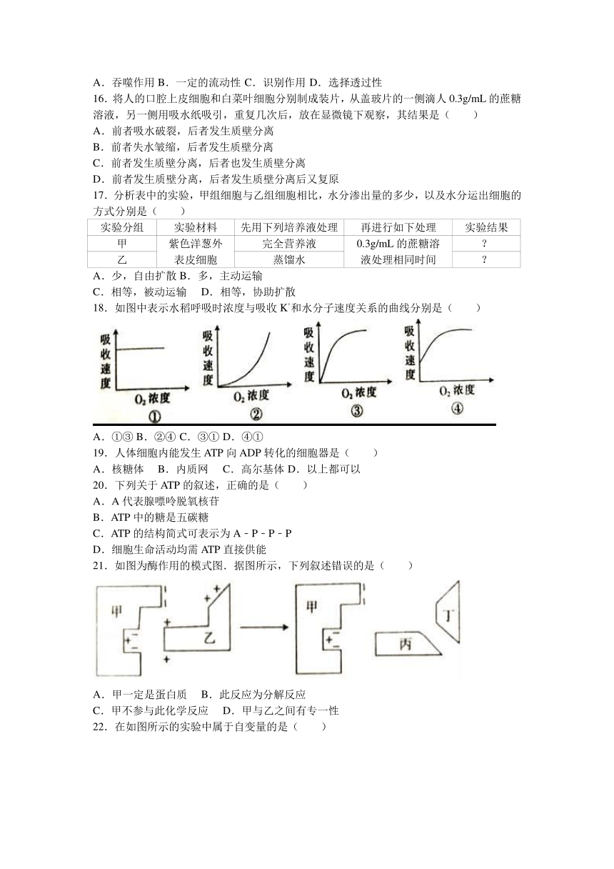 广西河池市示范性高中课改联盟体2016-2017学年高一（上）第二次联考生物试卷（解析版）