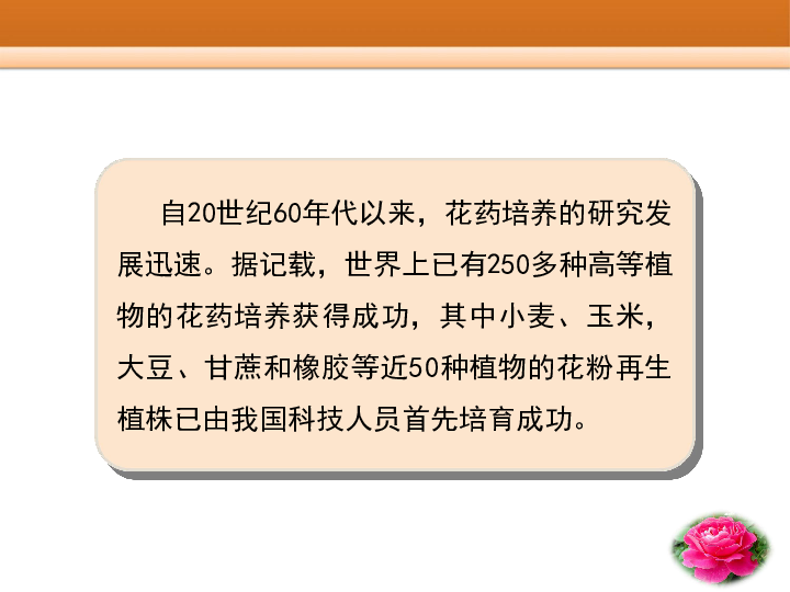 新人教版选修一高中生物3.2《月季的花药培养》(43张PPT)