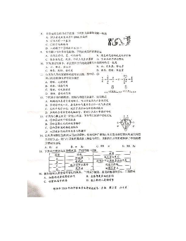 湖南省邵阳市2019年初中毕业学业考试试题卷生物（图片版无答案）