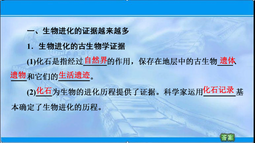 必修2 第4章 第2节 生物:的多样性和适应性是进化的结果 课件(58张)