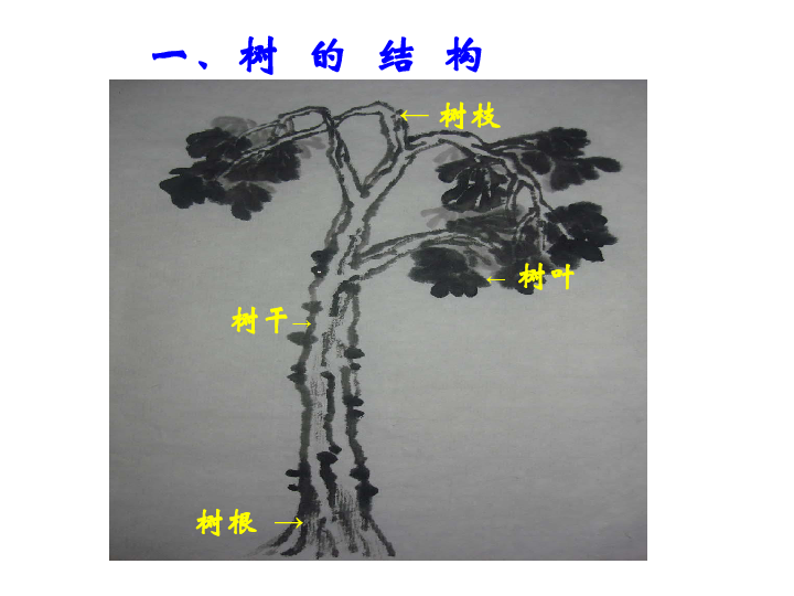 四年级上册美术课件-5 用水墨来画树 沪教版 (共15张PPT)