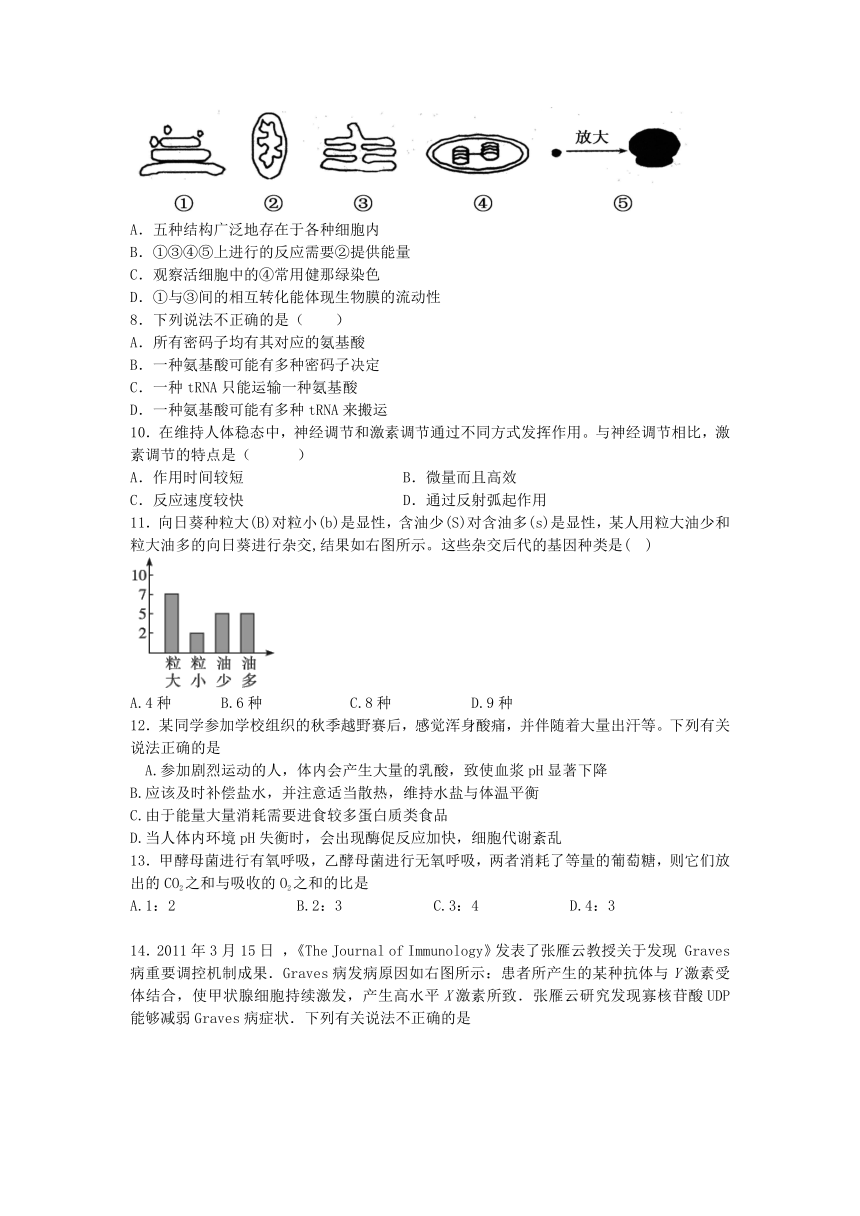 江苏省洪泽中学2013届高三下学期期初考试生物试题