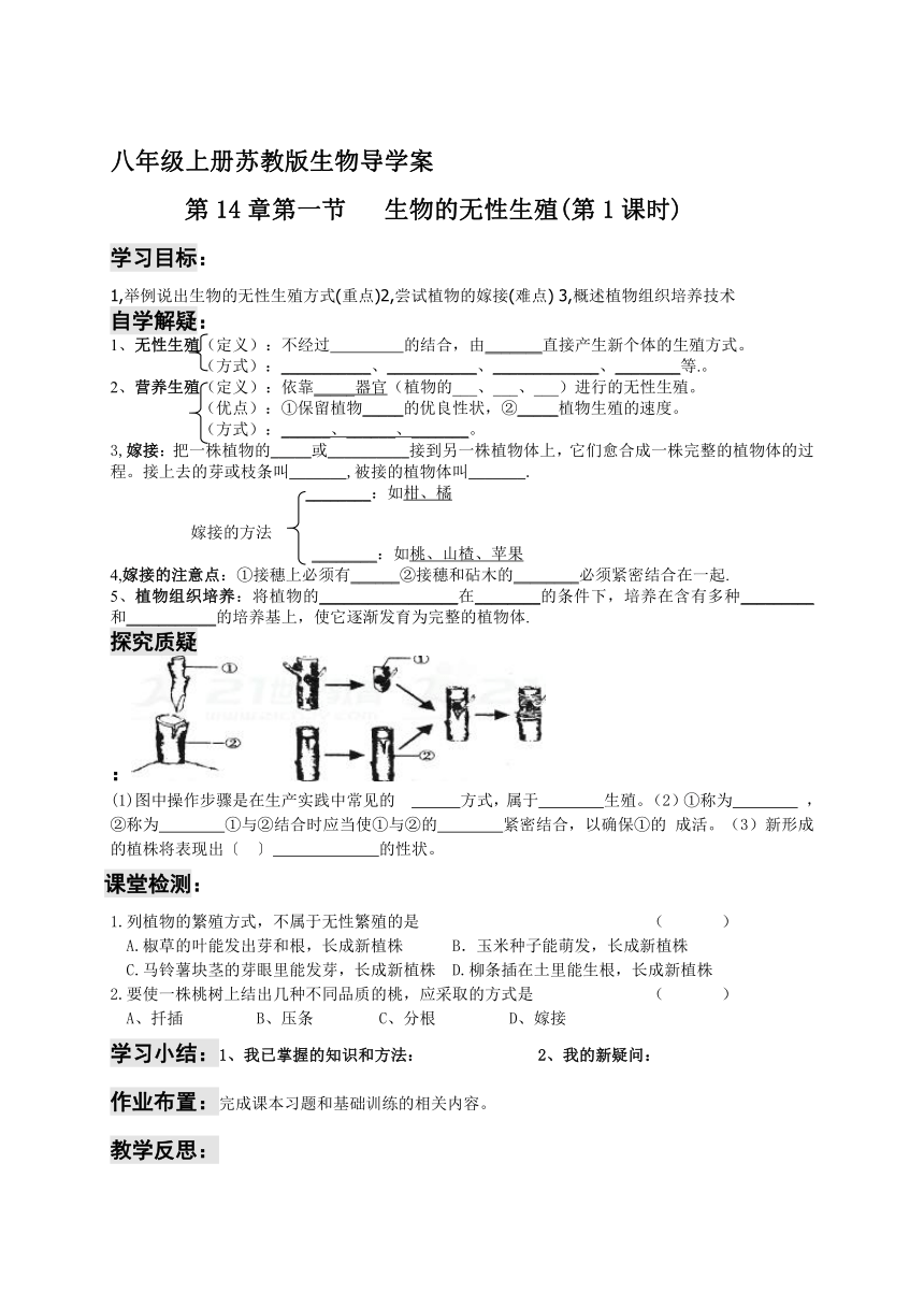 八年级上册苏教版生物导学案(全册，无答案)