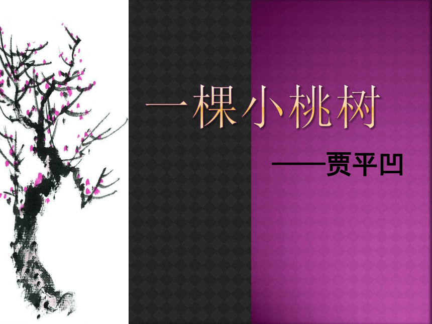 第19*课《一颗小桃树 》课件（22张PPT）