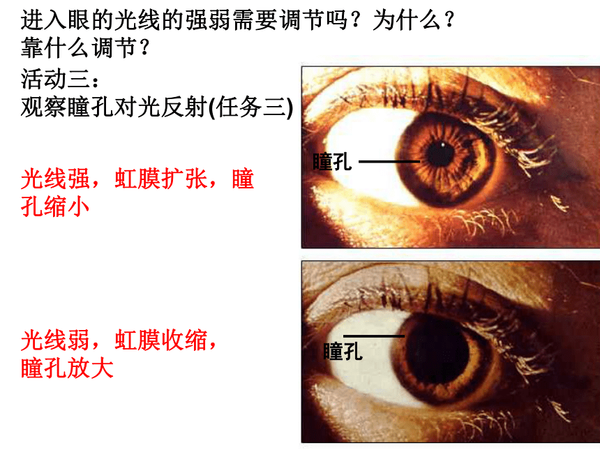 第11章 感知与协调  生物的感觉  人体具有的感觉