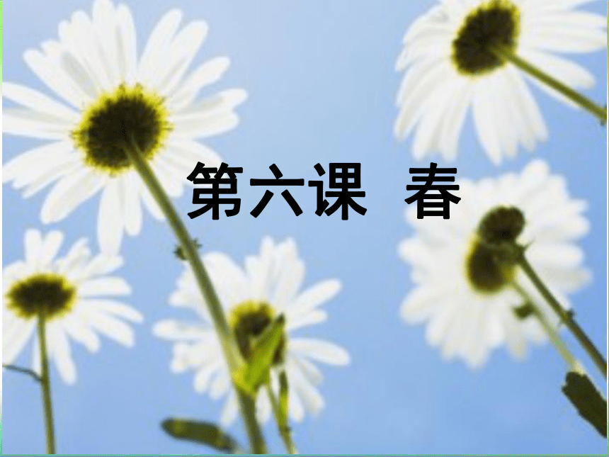 语文八年级下新教版（汉语）6《春》课件（46张）