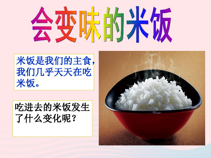 六年级科学下册第二单元物质的变化3米饭淀粉和碘酒的变化课件 教科版（23张PPT）