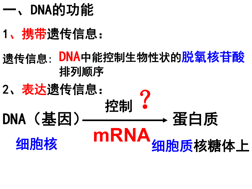 浙科版生物必修2第四节《遗传信息的表达—-RNA和蛋白质的合成》课件