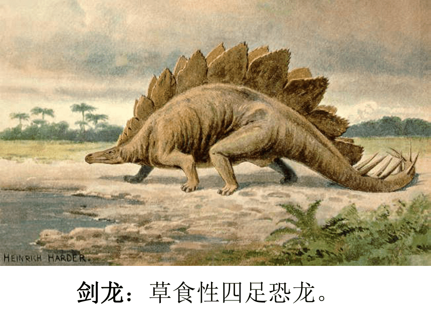 31 恐龙的灭绝课件