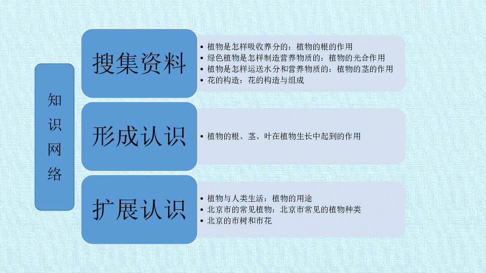 三年级下册科学课件-第三课 植物的生长 复习课件-北京课改版(共17张PPT)