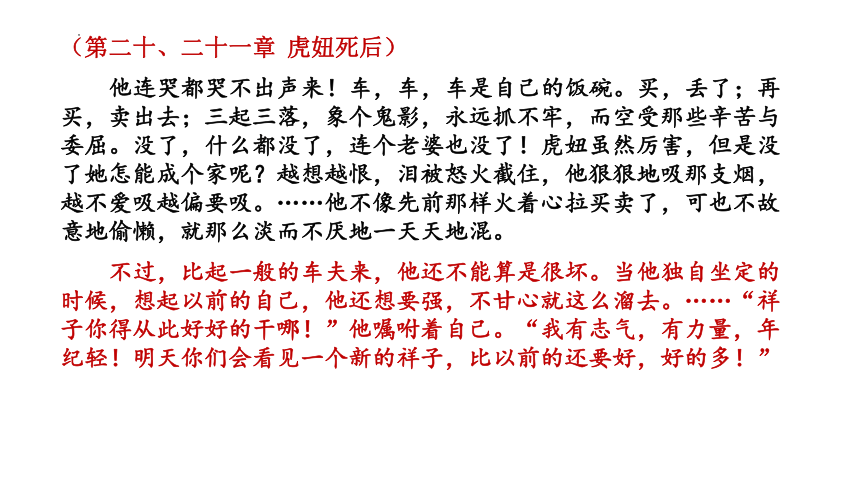 虎妞的主要事件图片