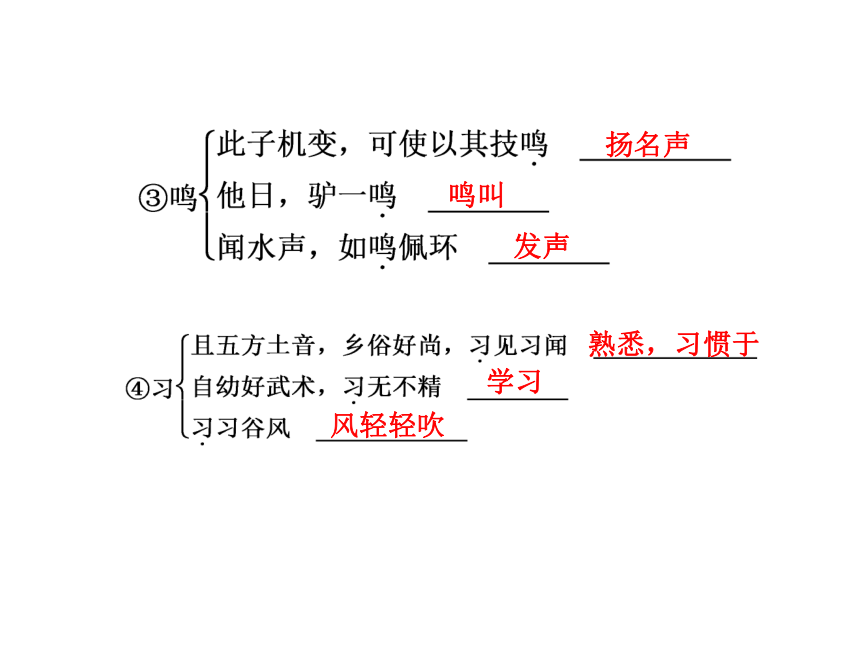 高二语文人教版选修 中国民俗文化 第三单元《柳敬亭说书》课件1