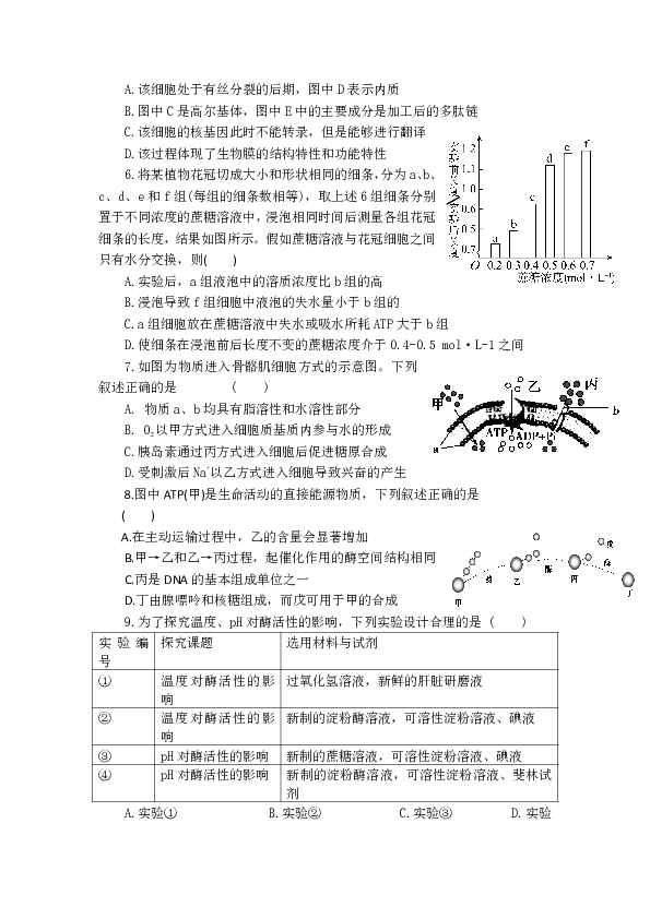 湖南省益阳市箴言中学2019届高三上学期10月模拟考试 生物