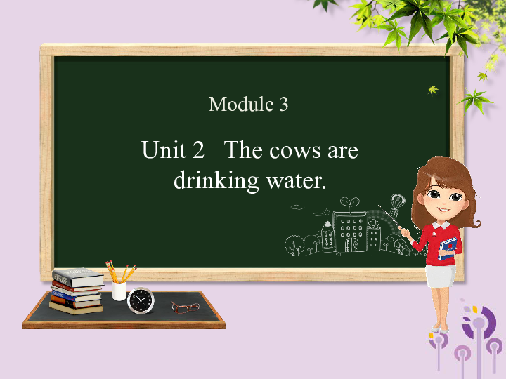 Unit 2 The cows are drinking water 课件  （38张PPT）