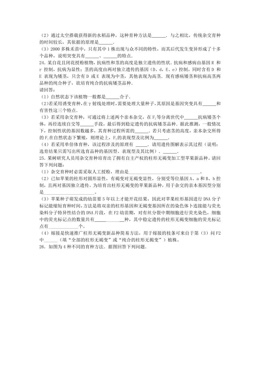 2015－2016学年高考生物复习同步单元练：人教版必修二 第六章《从杂交育种到基因工程》