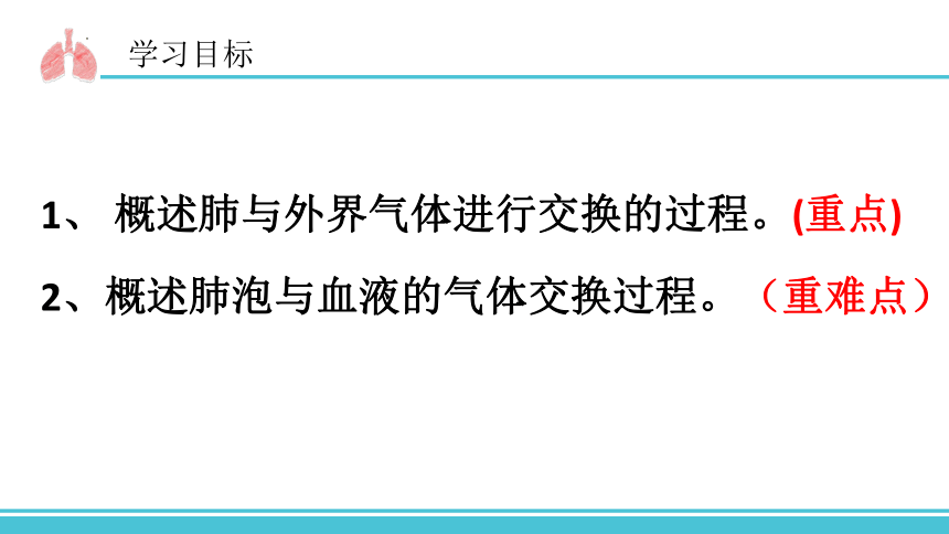 20212022學年人教版生物七年級下冊432發生在肺內的氣體交換課件共30