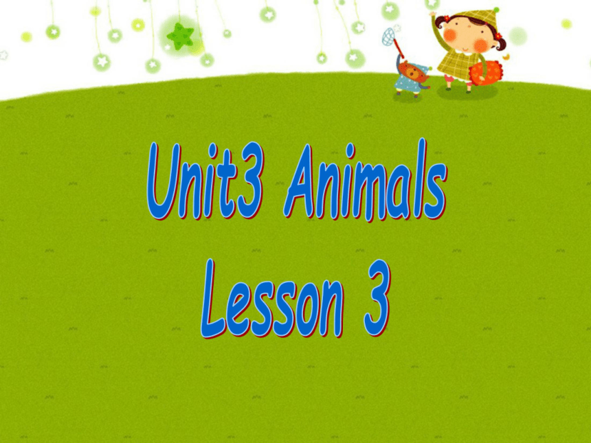 Unit 3 Animals Lesson 3 课件