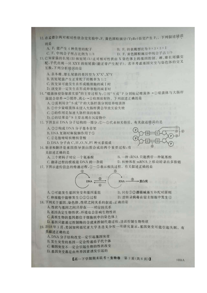 河南省安阳市第二实验中学等八校2017-2018学年高一下学期期末联考生物试题+扫描版