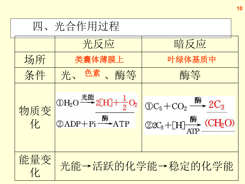 【原创】2013届高三生物复习课件--光合作用