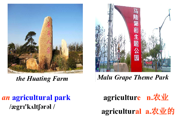 Lesson 1 A Visit to an Agricultural Park 课件（13张PPT）