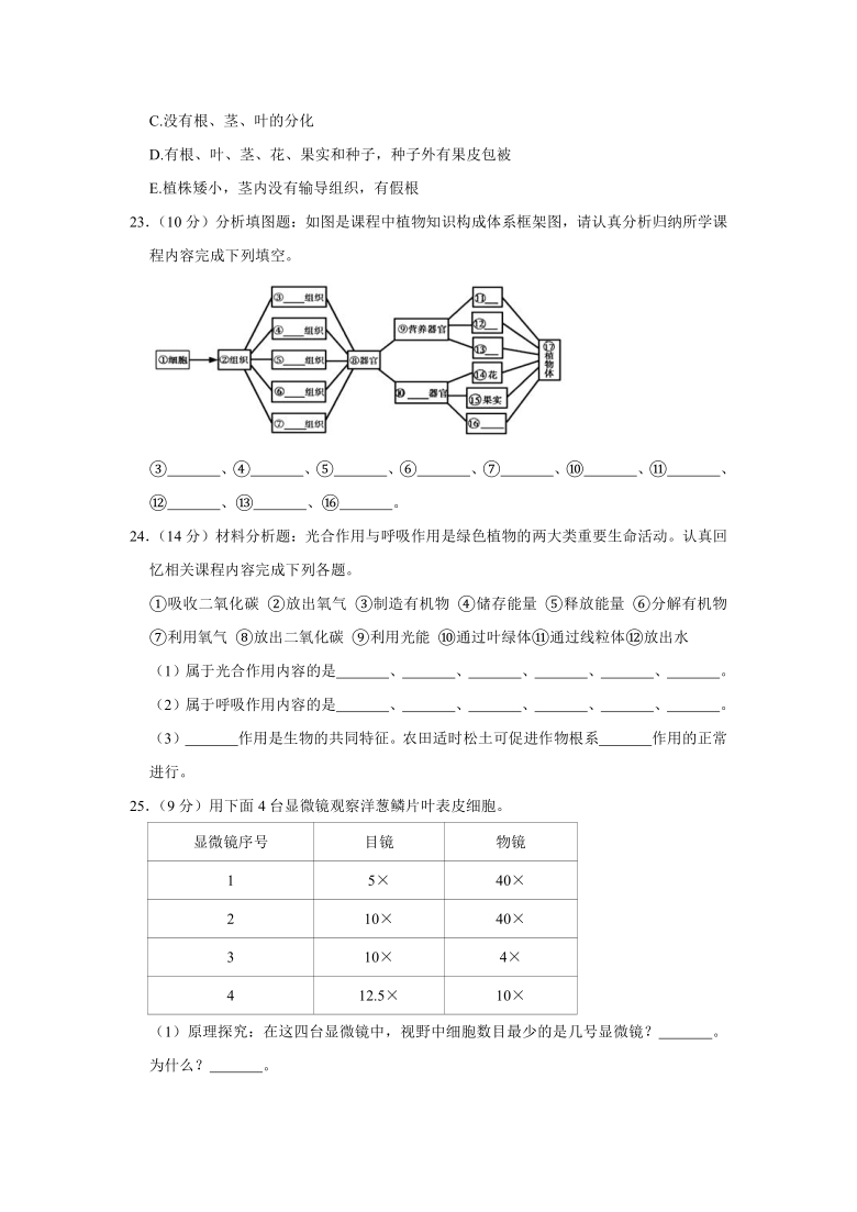 2020-2021学年青海省西宁市七年级（上）期末生物试卷（word版含解析）