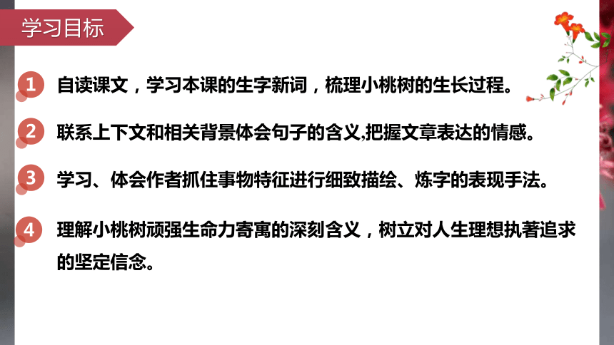 2020-2021学年七年级语文下册部编版第十九课《 一棵小桃树》课件（27张PPT）