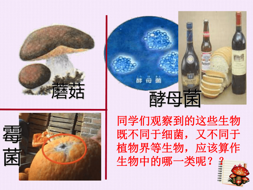 裂殖 c.分裂生殖 d.出芽生殖7.真菌的生殖方式是( )c.有細胞壁 d.