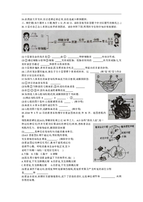 广西岑溪市2019-2020学年七年级下学期期末考试生物试题（word版含图片答案）