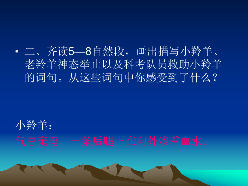 （西师大版）五年级语文上册课件 藏羚羊的故事 2