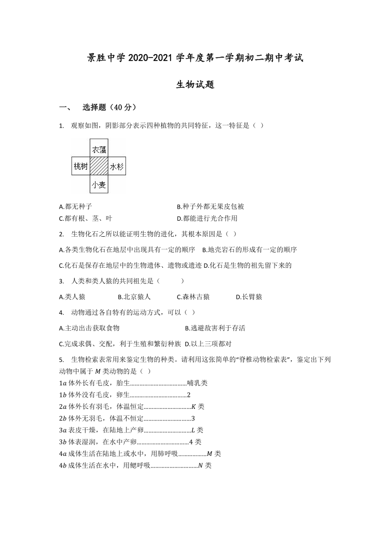 山西省运城市景胜中学2020-2021学年八年级上学期期中考试生物试题（Word版含答案）