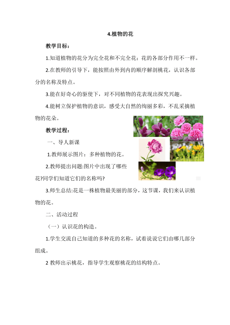 青岛版五四制三年级科学上册1.4植物的花教案