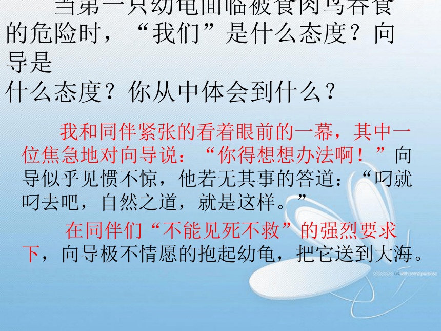 语文五年级上西师大版7.26《自然之道》课件3