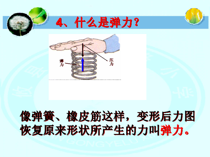 4.2弹簧和橡皮筋   课件（18张PPT）