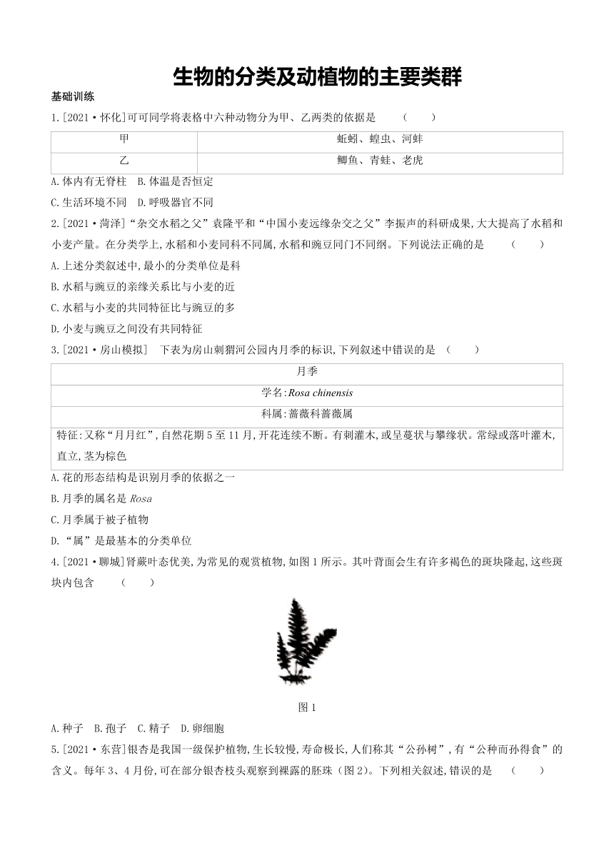 2022年人教版中考生物一轮复习训练：生物的分类及动植物的主要类群（word版含解析）