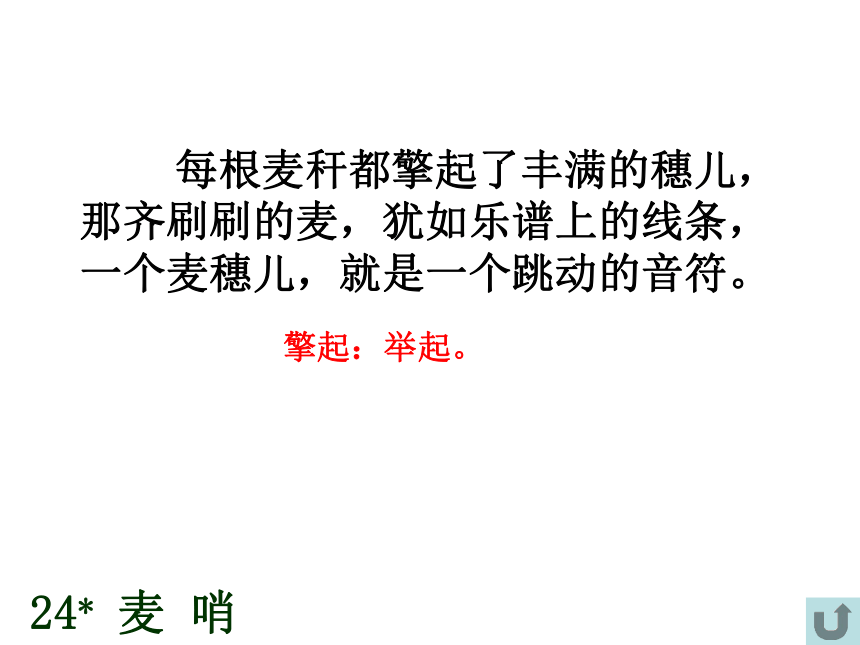 《麦哨》课件