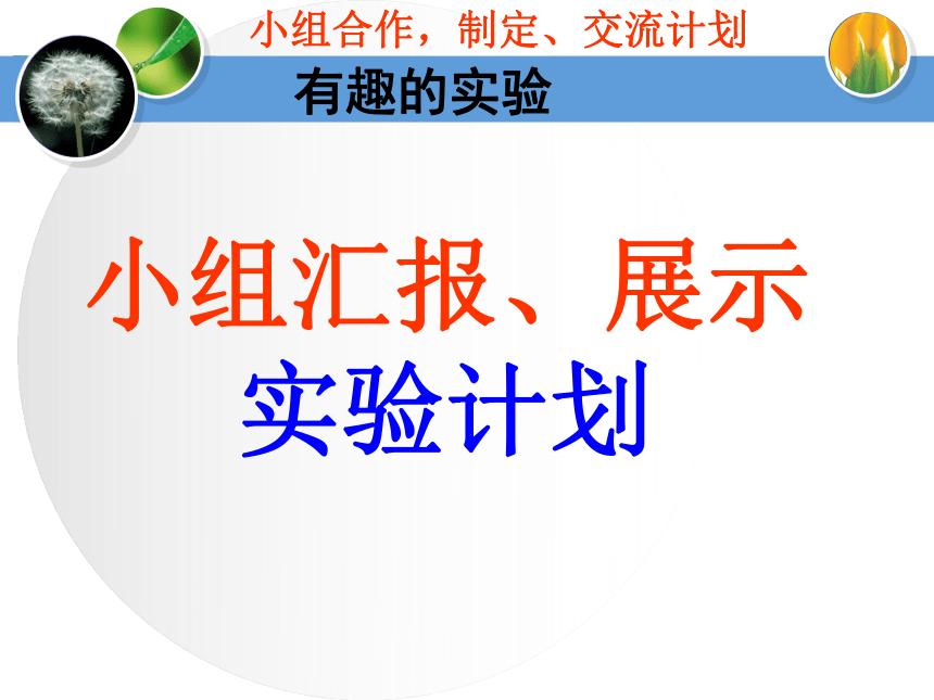 六年级上册科学课件－3.4 岩石也变化 第一课时湘教版 (共21张PPT)