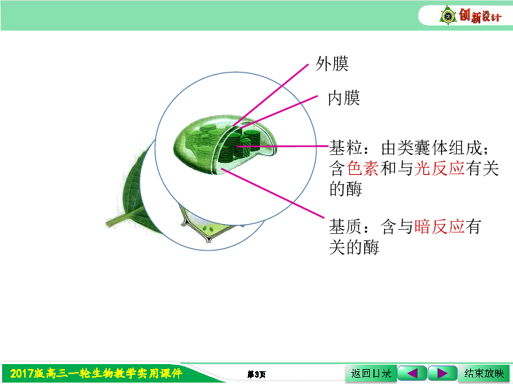 2017屆高三人教版生物第一輪複習課件:1-3-8 葉綠