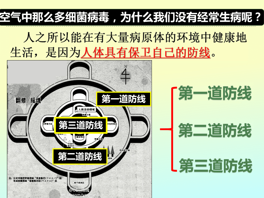 (2)圖中屬於第一道防線的是 ;圖中屬於第三道防線的是