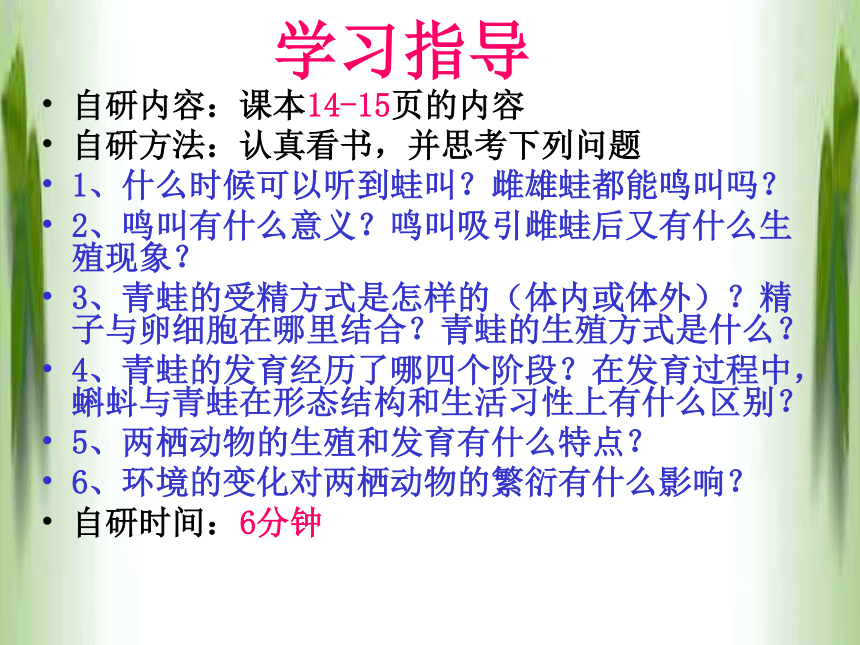 2020-2021学年人教版八年级生物下册 7.1.3两栖动物的生殖和发育 课件（共15张PPT）