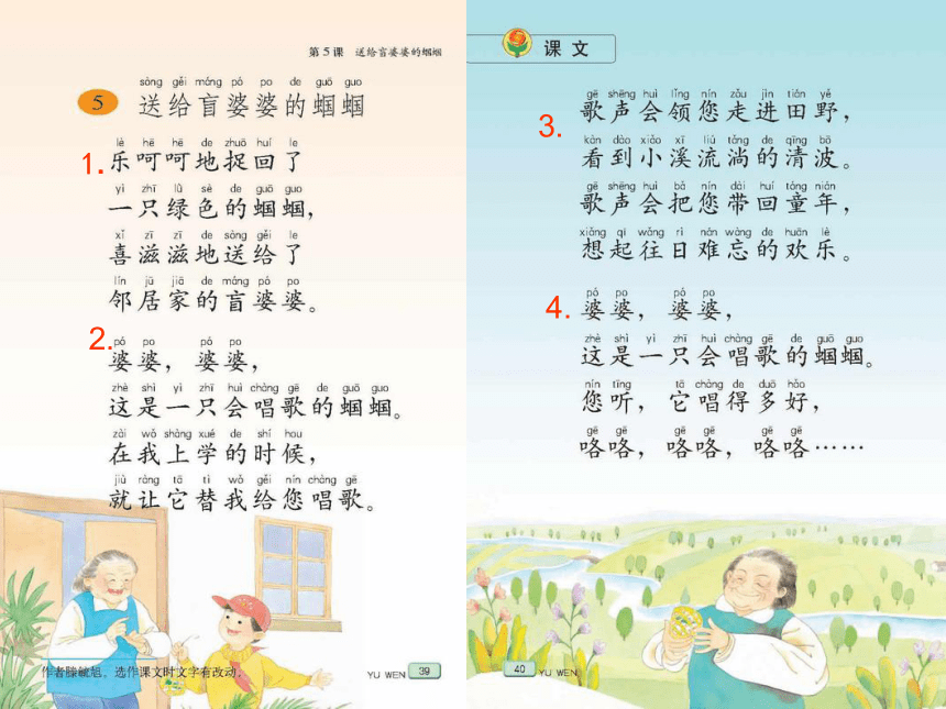 苏教版二年级语文上册5《送给盲婆婆的蝈蝈》课件