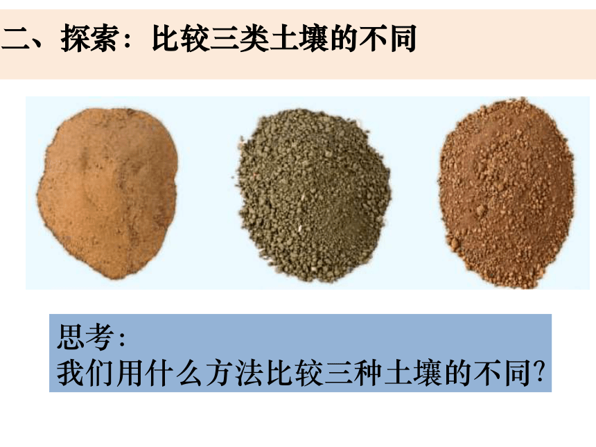 各种各样的土壤图片