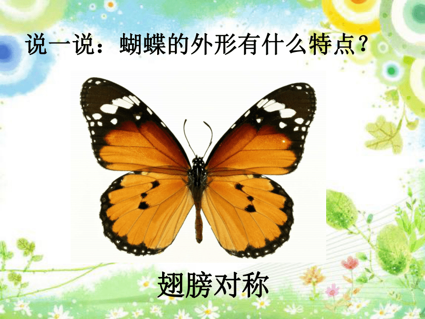 5 折剪蝴蝶 课件 (4)