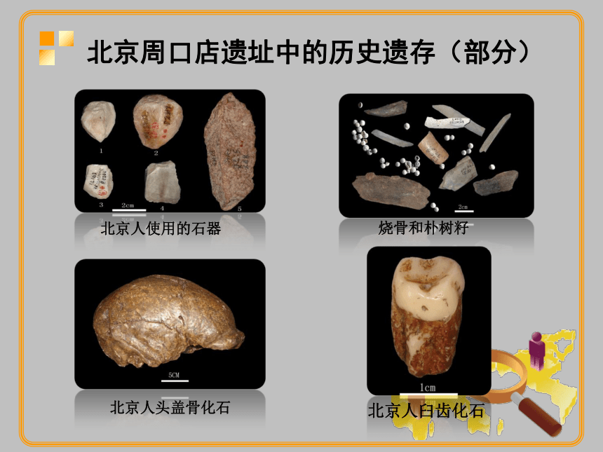 8.1.1《追寻原始先民的足迹》课件