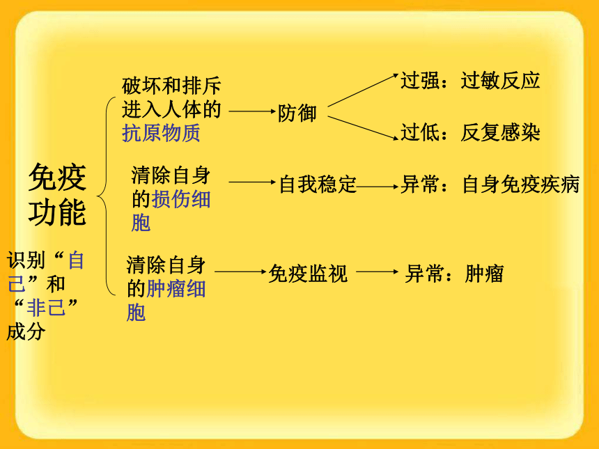 济南版七年级下册（新）第三单元第六章《免疫与健康》复习课件（共33张PPT）